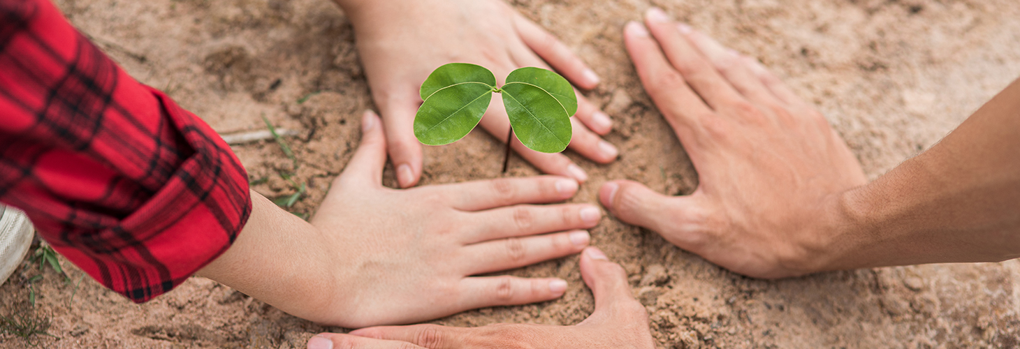 嘉山托克里机械有限公司。